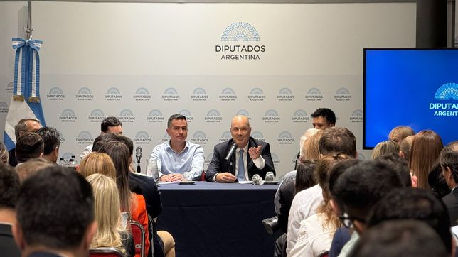 Federico Sturzenegger, durante su exposición en Diputados.&nbsp;