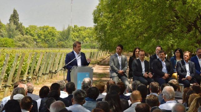 El ministro de Economía, Sergio Massa, hace anuncios junto a productores vitivinícolas.