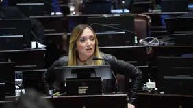 Anabel Fernández Sagasti, senadora de Unión por la Patria. Victoria Villarruel la habilitó a votar por zoom.&nbsp;