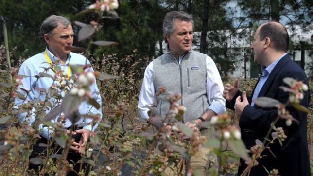 degradado y con nuevas retenciones, etchevehere resiste en agroindustria