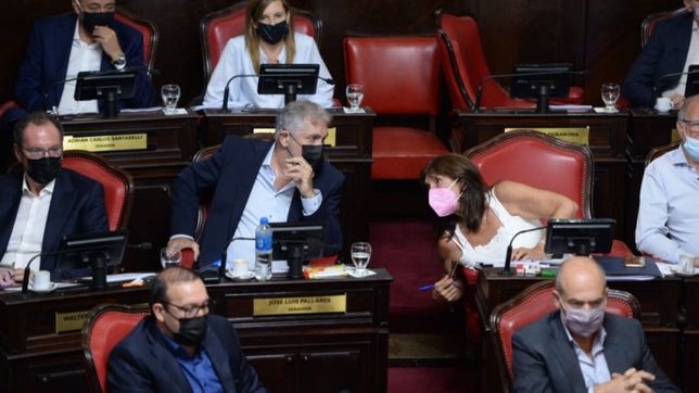 reelecciones matan grieta: pacto juntos - pj para voltear la retroactividad