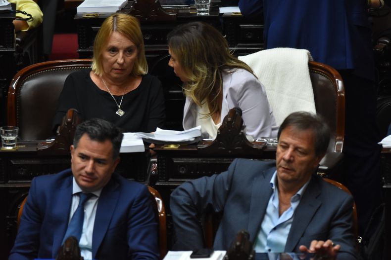 Los diputados Gabriel Bornoroni y Oscar Zago (La Libertad Avanza), durante el debate de la ley ómnibus enviada por Javier Milei.&nbsp;