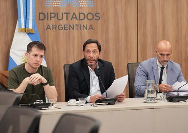 Juan Marino (UP) y Maximiliano Ferraro (Coalición Cívica), durante la comisión $Libra, en la que quedó complicada Karina Milei.&nbsp;