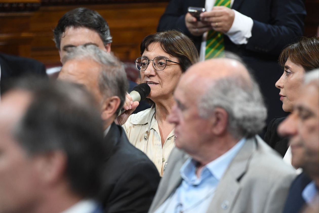 Mónica Silva, senadora de Río Negro, que repudió el cierre de Télam.&nbsp;