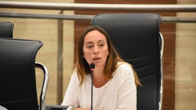 los danos colaterales del portazo pro en el concejo municipal de rosario