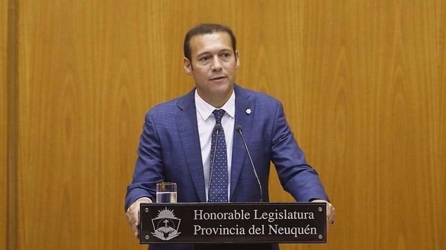 plazo, precio y tarifas, el pedido de gutierrez al gobierno por vaca muerta