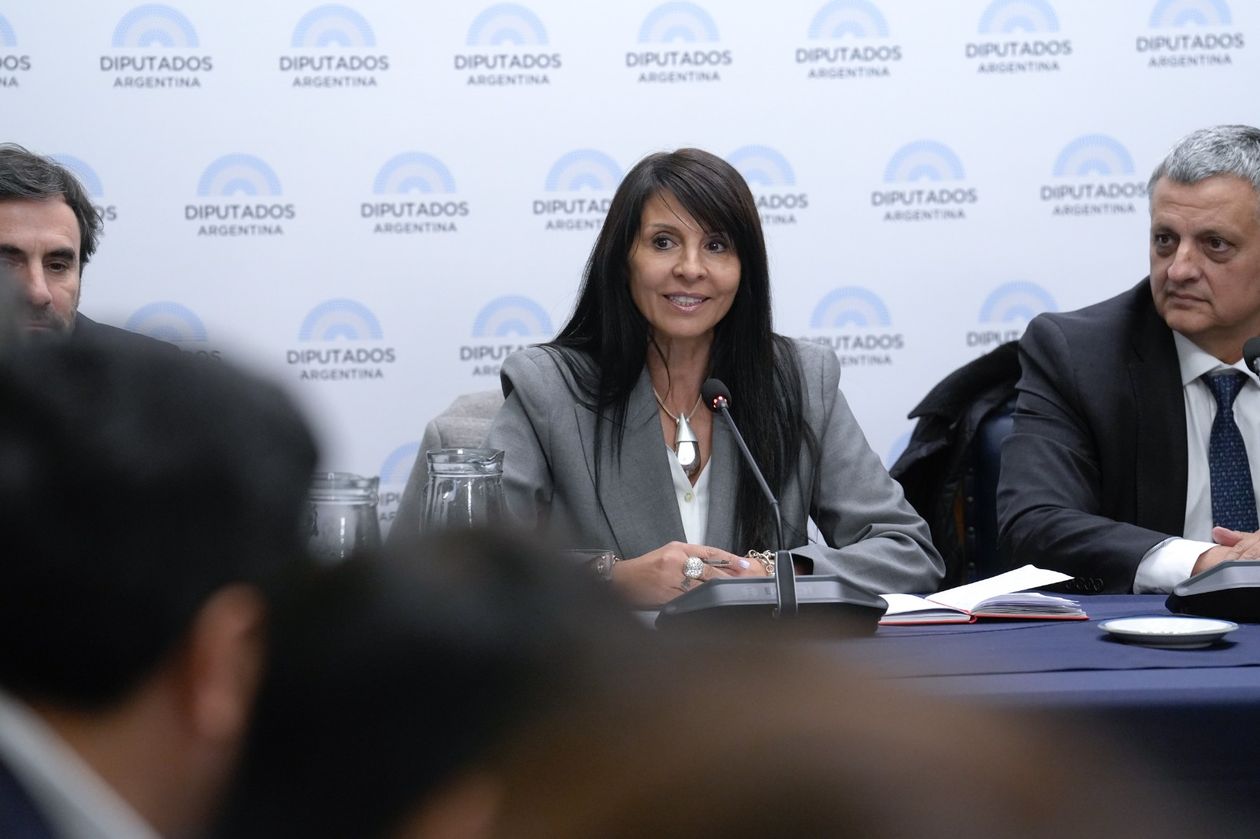 Patricia Bullrich no pudo acordar con la UCR y Lorena Villaverde no jura como senadora libertaria