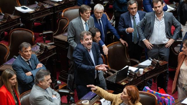 cambio de elenco: los pesos pesados de diputados que podrian dejar su banca