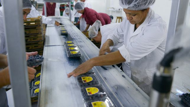 Javier Milei pisa las paritarias para doblegar a los gremios antes de la reforma laboral