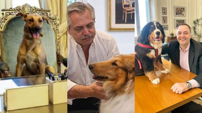 Balcarce (Mauricio Macri), Dylan (Alberto Fernández) y Thor (Javier Milei)