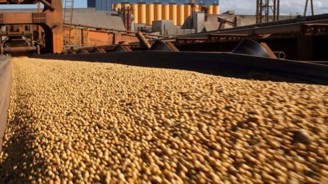 exportaciones bonaerenses cayeron en volumen y subieron en dolares