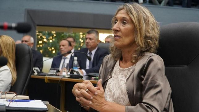 verna vs. ziliotto: la legislatura empolla una candidata para la paz