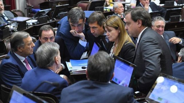 financiamiento politico: las trabas en un nuevo intento del senado