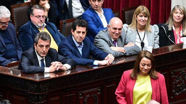 cecilia moreau reemplazo a massa y es la nueva presidenta de diputados