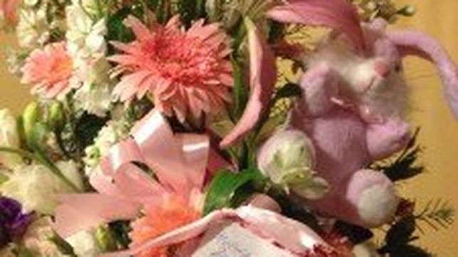 viernes de celebracion en piola