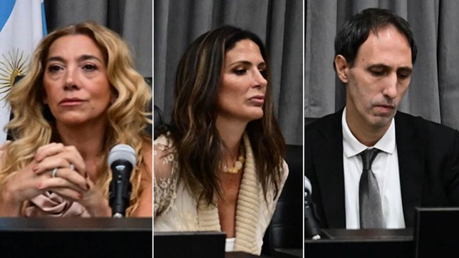 La denuncia que sacude a la Justicia bonaerense: piden jury a los otros dos jueces del caso Diego Maradona