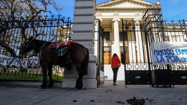 radicales pro turf apuntan a salvador por el recorte a la actividad hipica