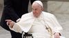 Javier Milei tendrá una audiencia privada con el papa Francisco Javier Milei tendrá una audiencia privada con el papa Francisco