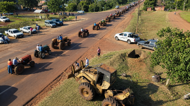 La producción yerbatera cae en Misiones y los productores apuntan a Javier Milei.