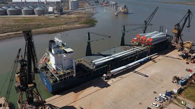 los delfines pro que siguen en los puertos ante la indefinicion de kicillof