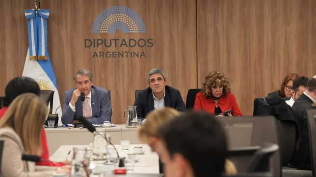 El Plenario de comisiones que investiga Andis. 