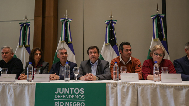 El gobernador de Río Negro, Alberto Weretilneck, lanzó su frente electoral con la UCR, el ARI y sellos locales.