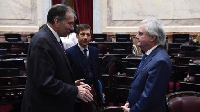 el pro le baja el tono a los dichos de carrio: ?no afecta las inversiones?