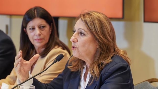 Mónica Fein anunció su precandidatura a la gobernación junto con Clara García.