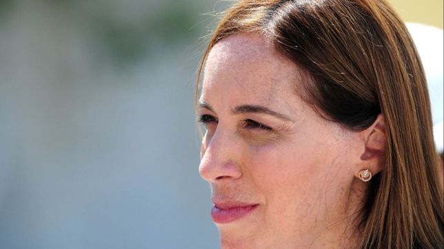 vidal autorizo un aumento en la tarifa electrica del 24% en promedio