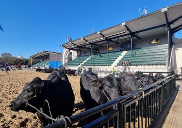 Banco Ciudad en la Rural 2022