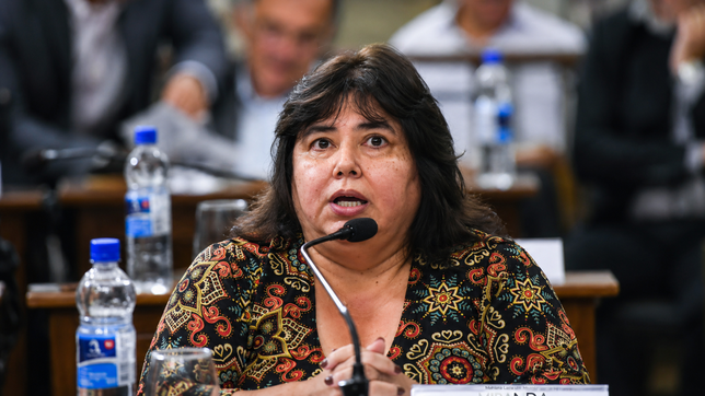 Reforma previsional en Entre Ríos: los argumentos de la senadora peronista que sorprendió con su voto a favor