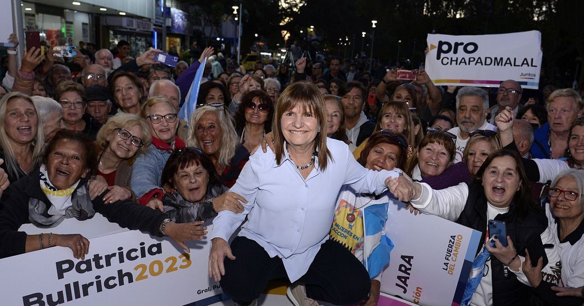 Formato Organización Y Urgencias De La Campaña De Patricia Bullrich 5464