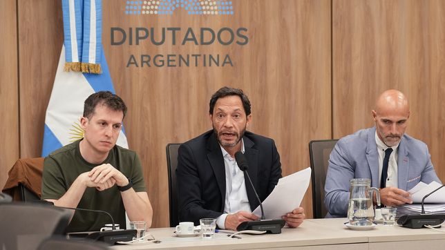 Juan Marino (UP) y Maximiliano Ferraro (Coalición Cívica), durante la comisión $Libra, en la que quedó complicada Karina Milei.&nbsp;
