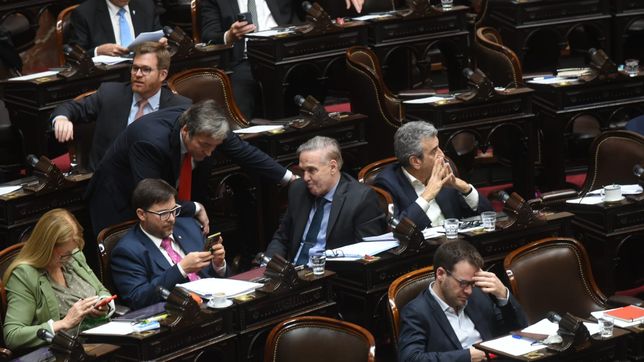 Encuentro Federal, uno de los bloques que tiene gobernadores y rechazó los vetos de Javier Milei. 