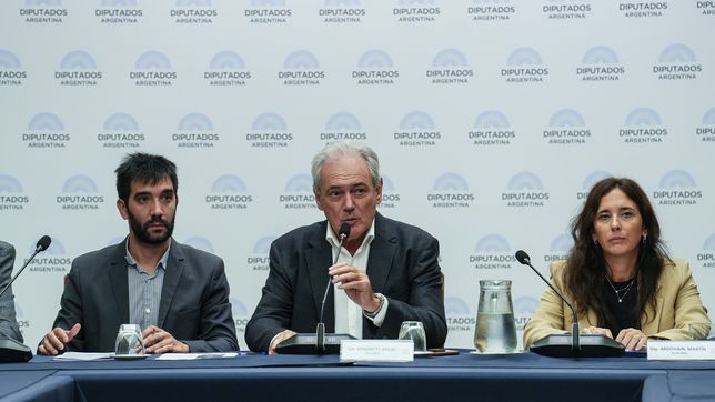 Atilio Benedetti, diputado radical, a cargo del debate sobre las retenciones.&nbsp;