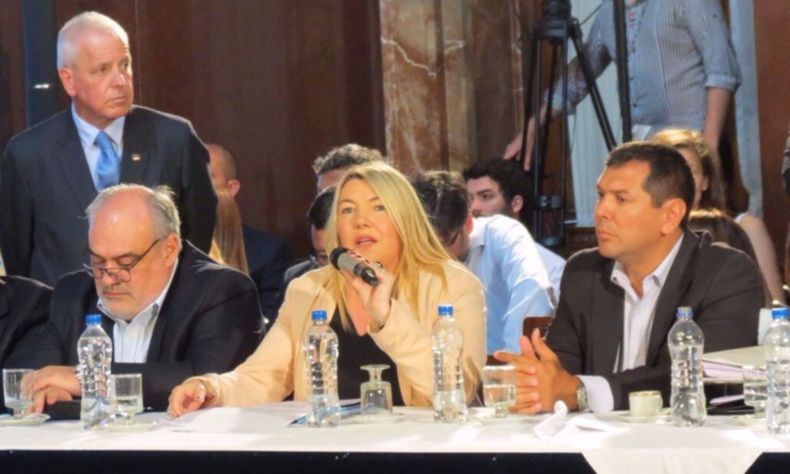 Rosana Bertone