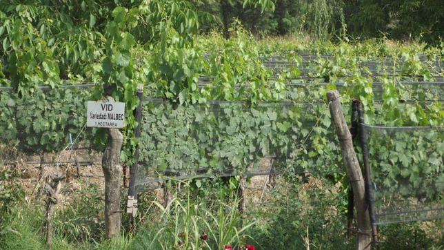 el gobierno lanzo el fondo para el desarrollo del enoturismo