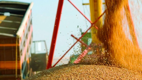 Exportaciones bonaerenses: la industria sigue en caída y el agro marca el pulso