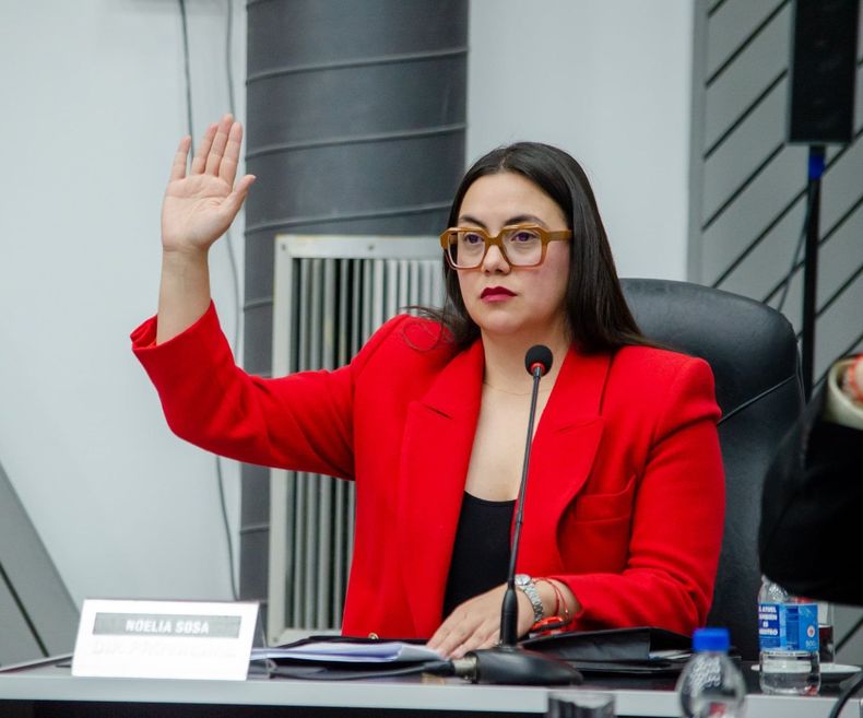 Noelia Sosa, diputada del ultravernismo, avaló la convocatoria a la licitación, pero patalea contra el pliego.