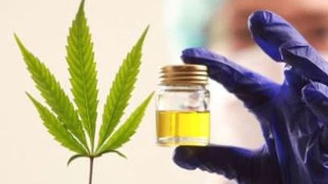 el gobierno quiere encender un negocio de u$s450 millones al ano