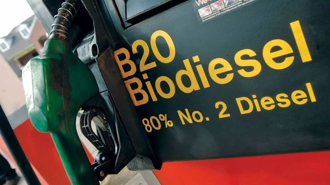 Retenciones cero: Javier Milei y Toto Caputo hunden a las pymes del biodiésel