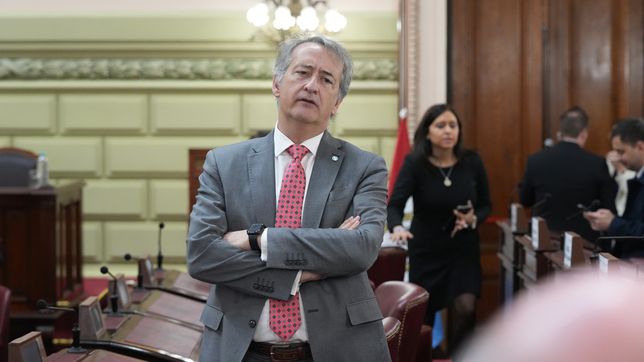 Reforma constitucional en Santa Fe: las mejores fotos de la Convención.