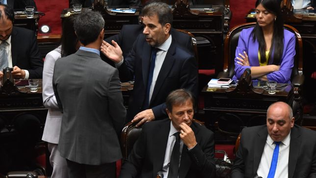 Diputados: la UCR se asoció con la Coalición Cívica y Cambia Federal y le quitó un cargo al PRO