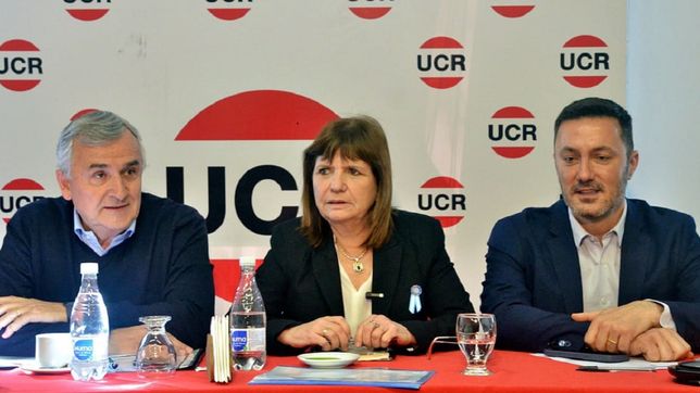 la ucr sufre una derrota doble y morales busca evitar una fragmentacion