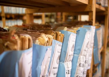 Negacionismo oficial y derechos humanos: un freno a la obsesión por triturar la memoria