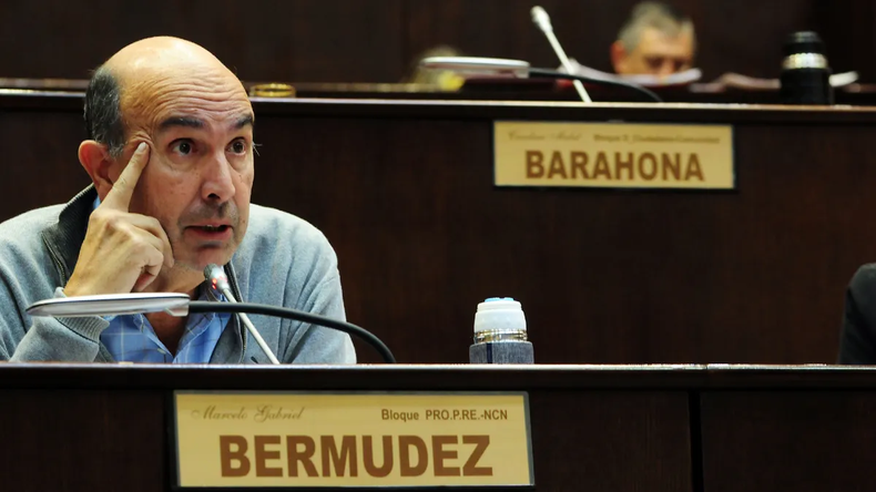 Diputado provincial del PRO, Marcelo Bermúdez.