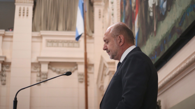 peronismo, futuro y yo