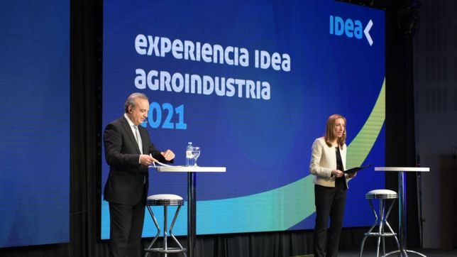 la idea para crear trabajo: blanqueo, menos cargas e indemnizaciones mini