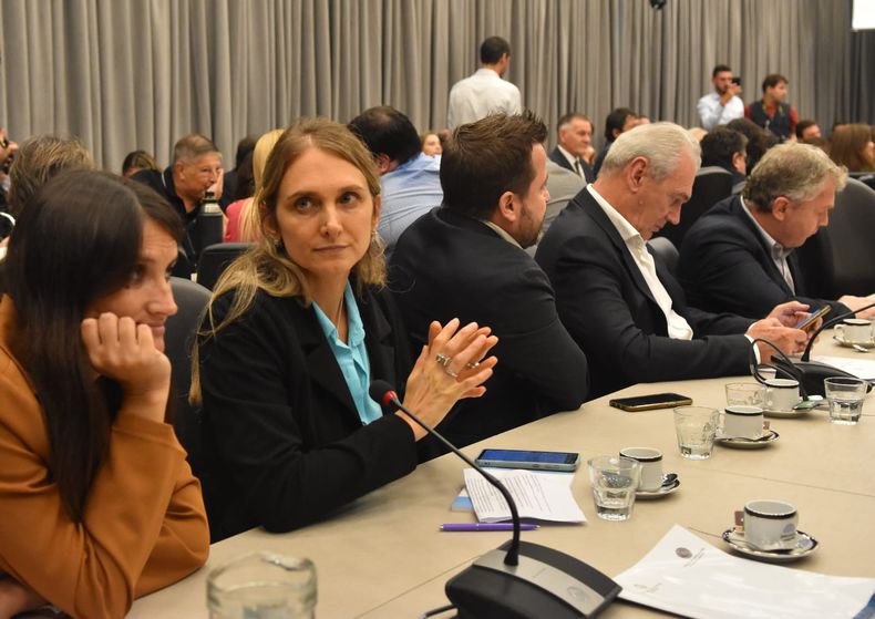 La diputada Gabriela Brouwer de Koning (UCR), lidera el debate de movilidad jubilatoria que complica a Javier Milei.&nbsp;