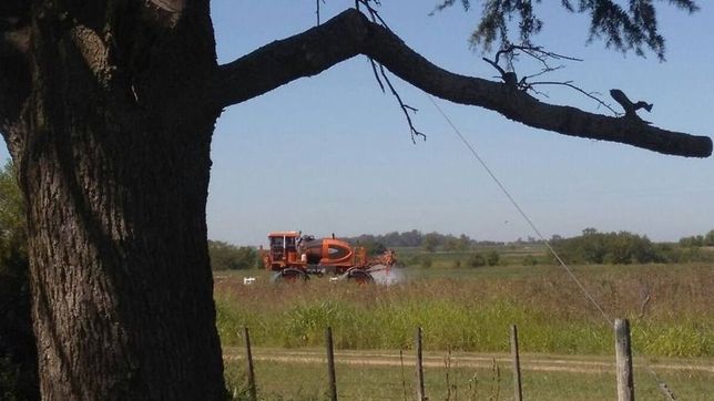 docentes presentaron amparo para frenar la resolucion sobre uso de agroquimicos